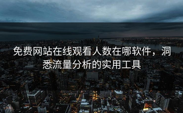 免费网站在线观看人数在哪软件,洞悉流量分析的实用工具 免费网站在线观看人数在哪软件,洞悉流量分析的实用工具