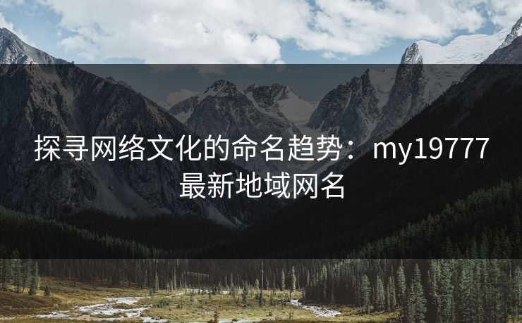 探寻网络文化的命名趋势：my19777最新地域网名