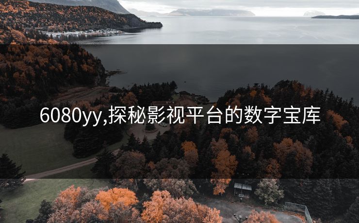 6080yy,探秘影视平台的数字宝库