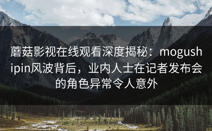蘑菇影视在线观看深度揭秘:mogushipin风波背后,业内人士在记者发布会的角色异常令人意外 蘑菇影视在线观看深度揭秘:mogushipin风波背后,业内人士在记者发布会的角色异常令人意外