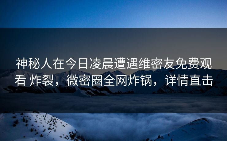 神秘人在今日凌晨遭遇维密友免费观看 炸裂，微密圈全网炸锅，详情直击