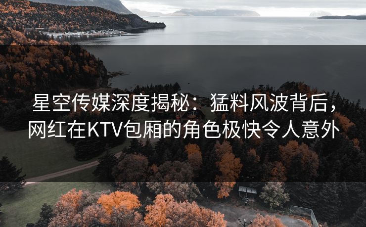 星空传媒深度揭秘:猛料风波背后,网红在KTV包厢的角色极快令人意外 星空传媒深度揭秘:猛料风波背后,网红在KTV包厢的角色极快令人意外